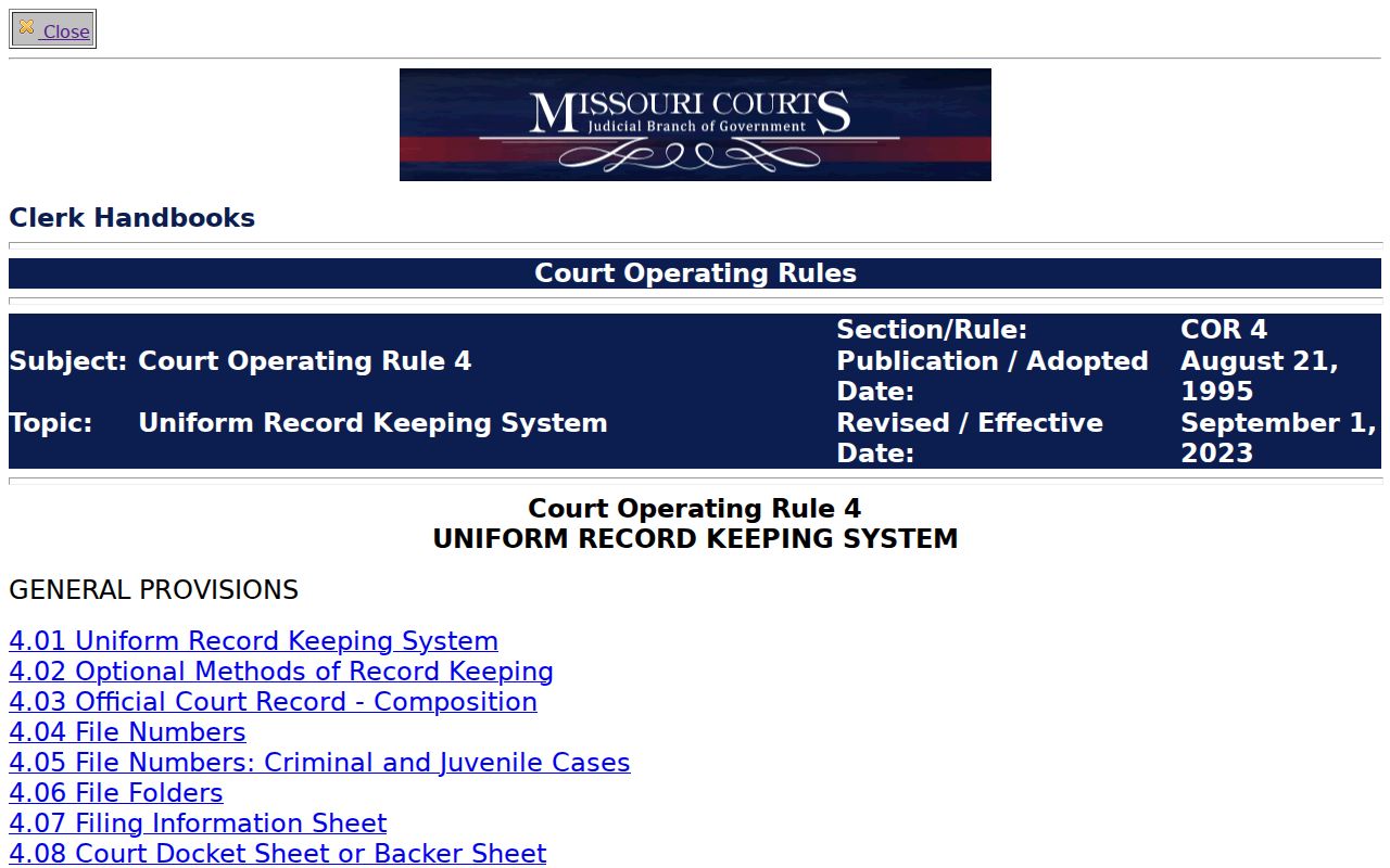 Clark County criminal court docket recordkeeping rules